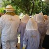 summer school1_beekeeping
